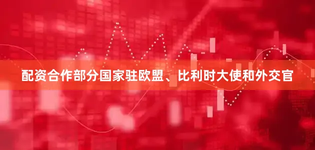 配资合作部分国家驻欧盟、比利时大使和外交官