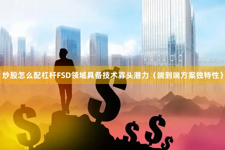 炒股怎么配杠杆FSD领域具备技术寡头潜力（端到端方案独特性）