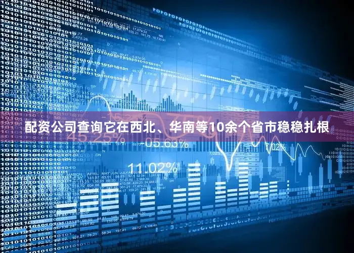 配资公司查询它在西北、华南等10余个省市稳稳扎根