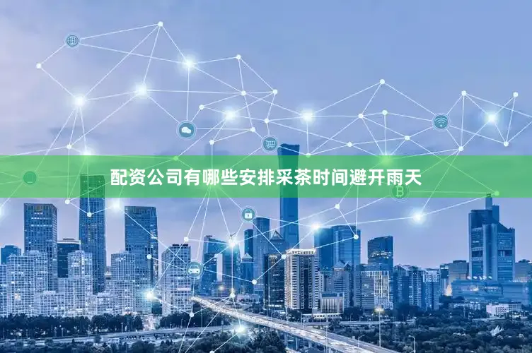 配资公司有哪些安排采茶时间避开雨天